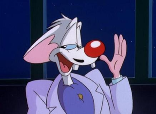 Illustration for article titled Every Single Pinky and the Brain Plan to Take Over the World, Ranked